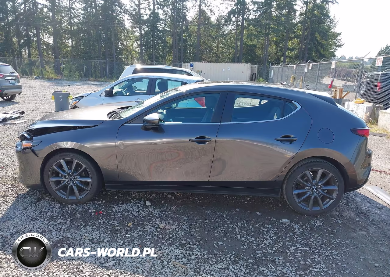2024 Mazda Mazda3 2.5 S Preferred VIN:JM1BPALM0R1650415 - 15