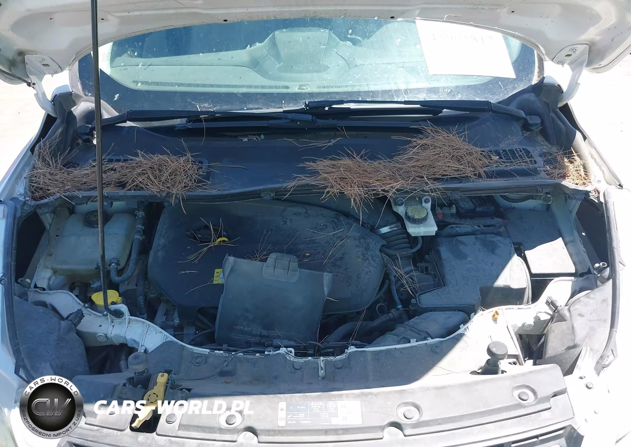 2014 Ford Escape Se VIN:1FMCU0GX2EUA76738 - 10