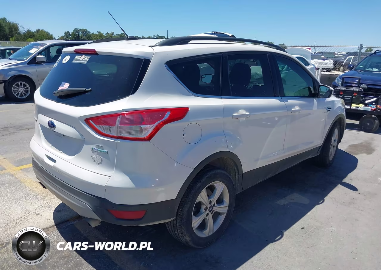 2014 Ford Escape Se VIN:1FMCU0GX2EUA76738 - 4