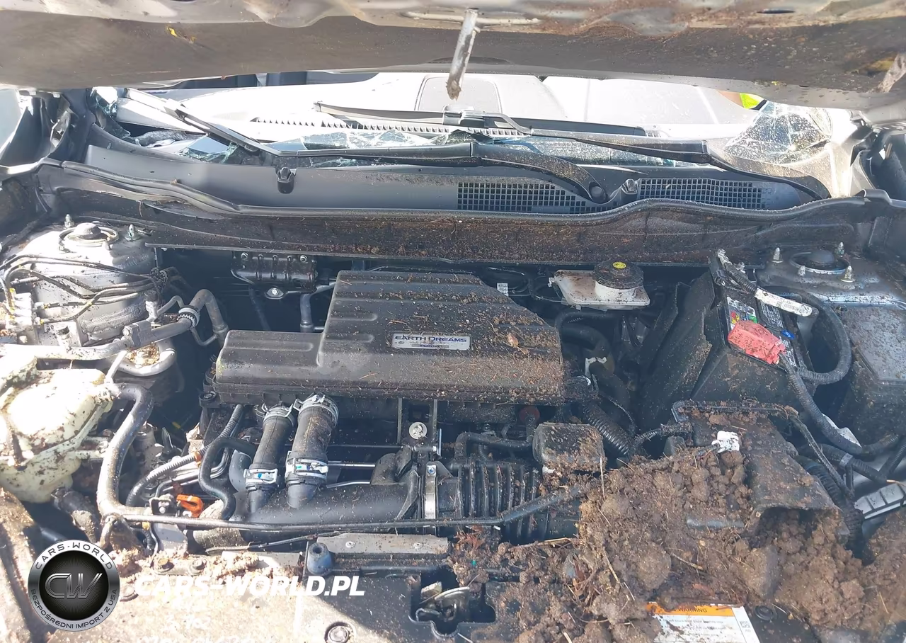 2019 Honda Cr-V Ex-L VIN:JHLRW2H86KX011710 - 10