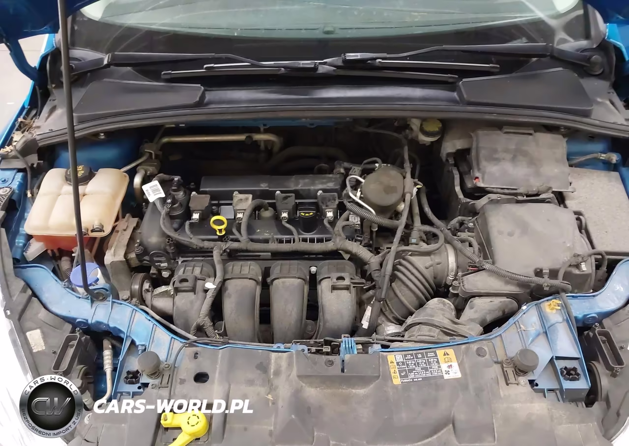 2016 Ford Focus Se VIN:1FADP3K24GL209060 - 10