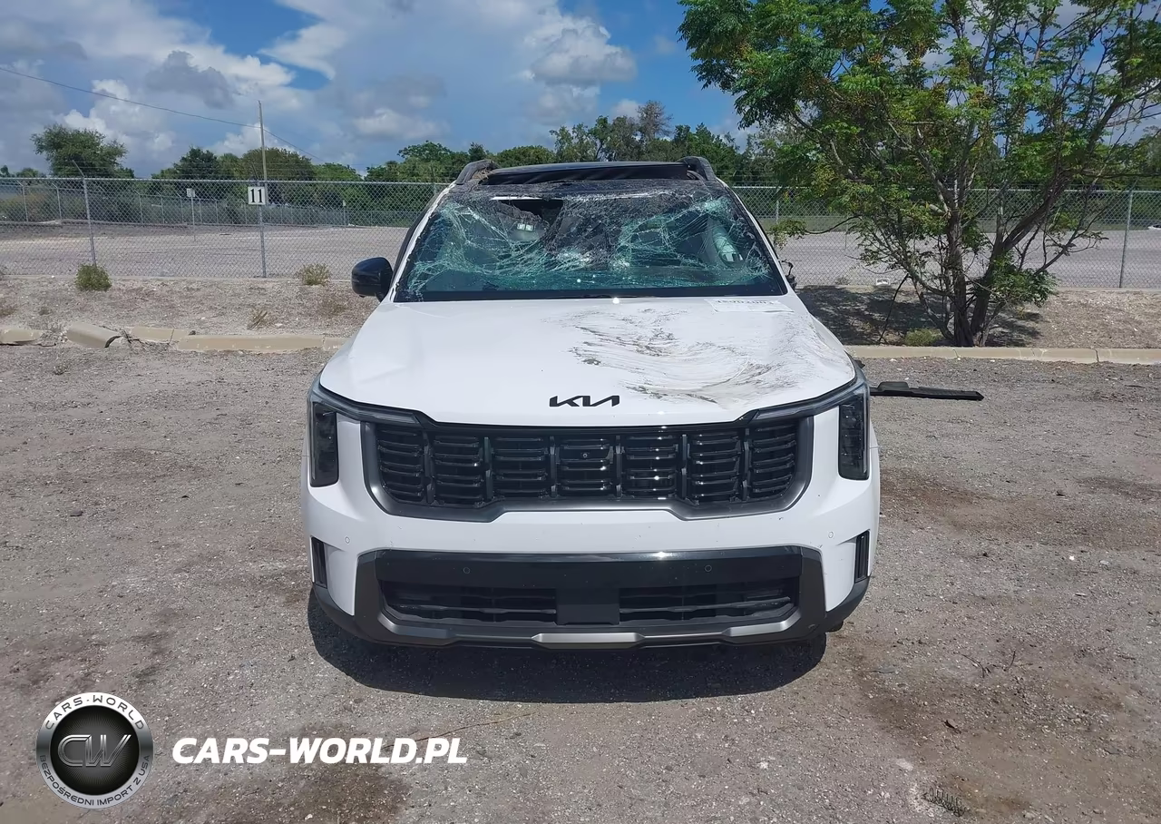 2025 Kia Sorento X-Line Sx Prestige VIN:5XYRKDJF3SG317876 - 12