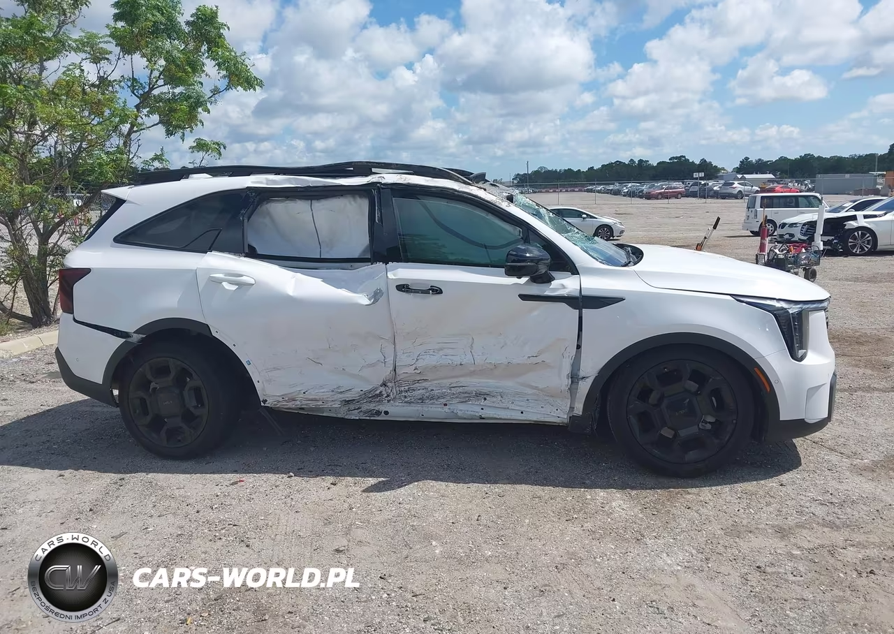 2025 Kia Sorento X-Line Sx Prestige VIN:5XYRKDJF3SG317876 - 13