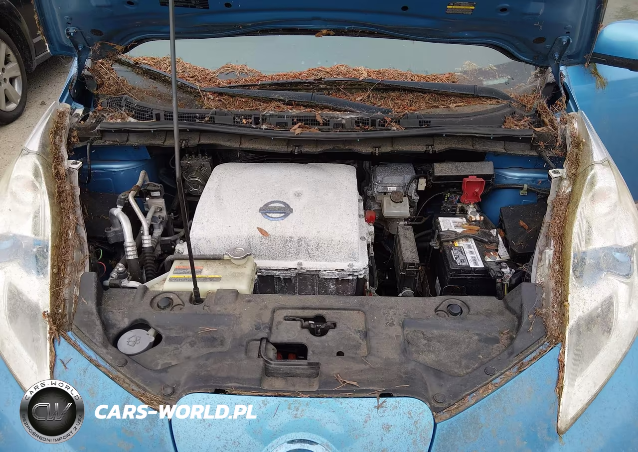 2013 Nissan Leaf Sl VIN:1N4AZ0CPXDC410270 - 10
