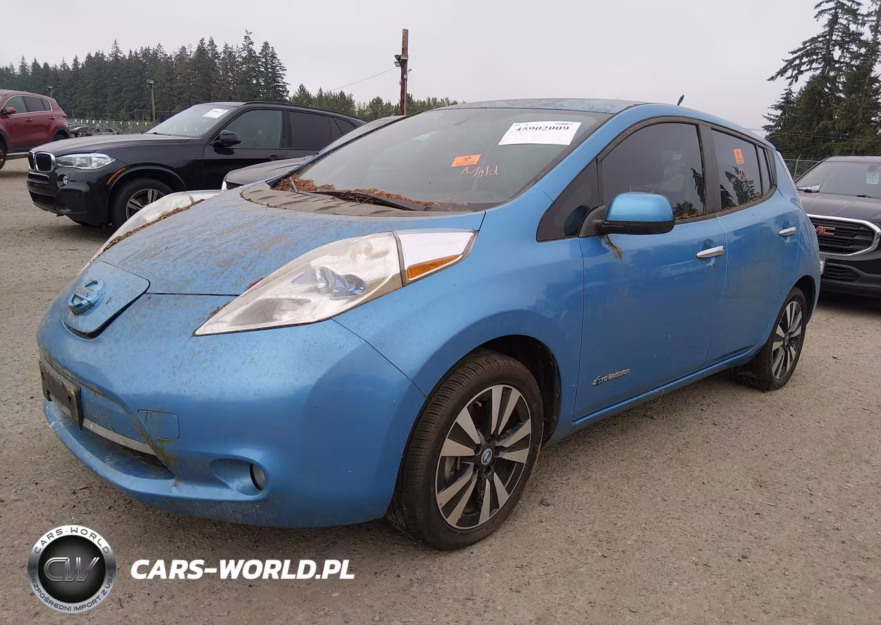 2013 Nissan Leaf Sl VIN:1N4AZ0CPXDC410270 - 2