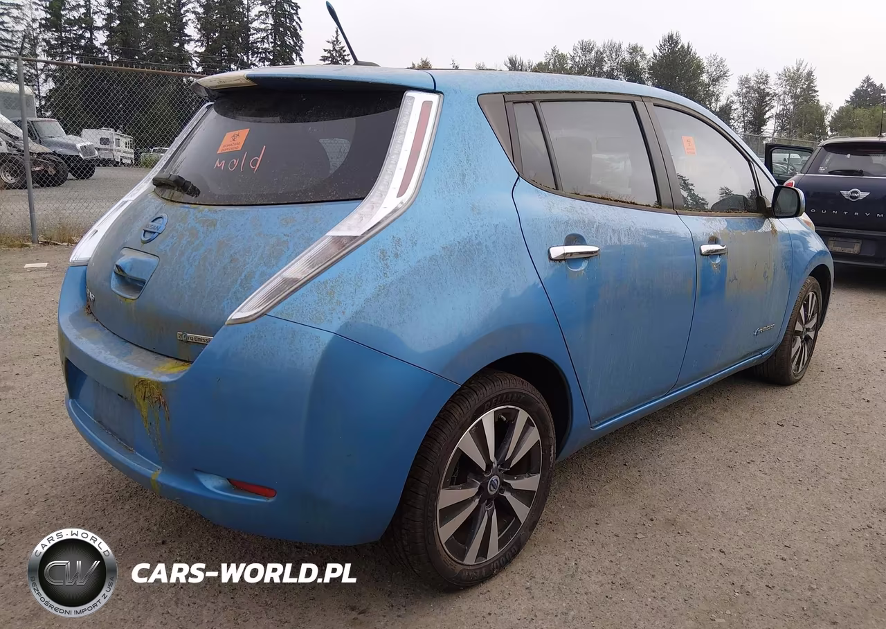 2013 Nissan Leaf Sl VIN:1N4AZ0CPXDC410270 - 4