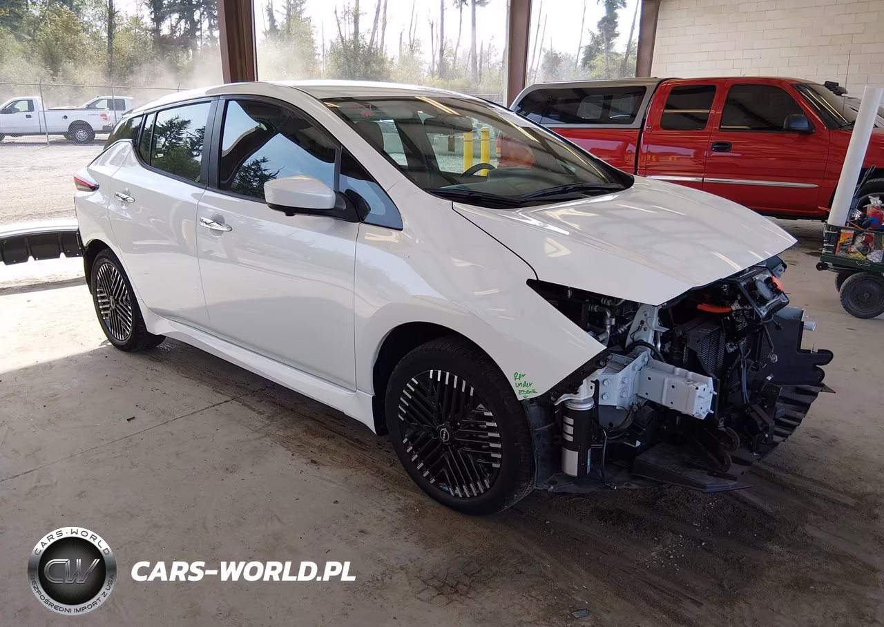 2025 Nissan Leaf Sv Plus