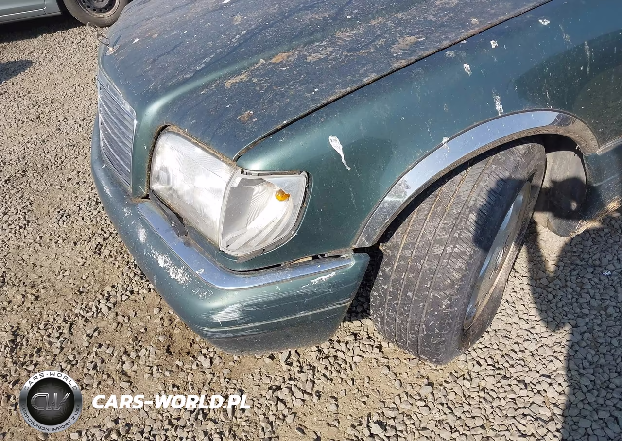 1995 Mercedes-Benz S 500 VIN:WDBGA51E1SA225302 - 12