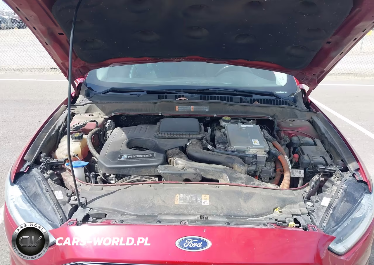 2016 Ford Fusion Hybrid Titanium VIN:3FA6P0RUXGR282434 - 10