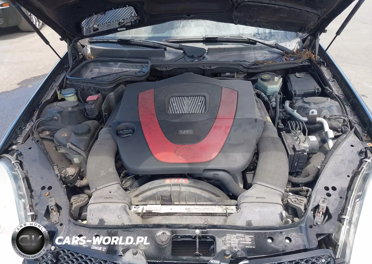 2009 Mercedes-Benz Slk 350 VIN:WDBWK58F89F211076 - 10