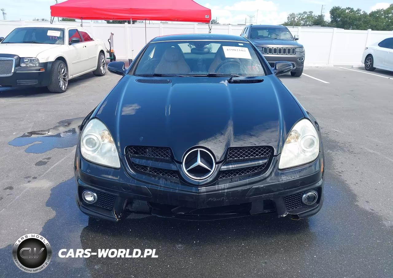 2009 Mercedes-Benz Slk 350 VIN:WDBWK58F89F211076 - 12