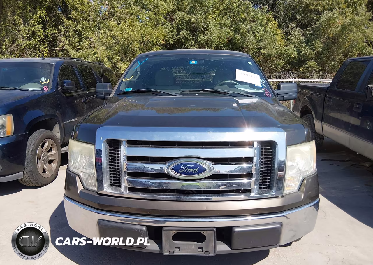 2009 Ford F-150 Xl-Xlt VIN:1FTRW12839FA67796 - 12