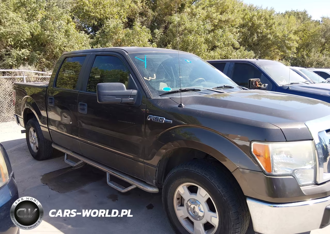 2009 Ford F-150 Xl-Xlt VIN:1FTRW12839FA67796 - 13
