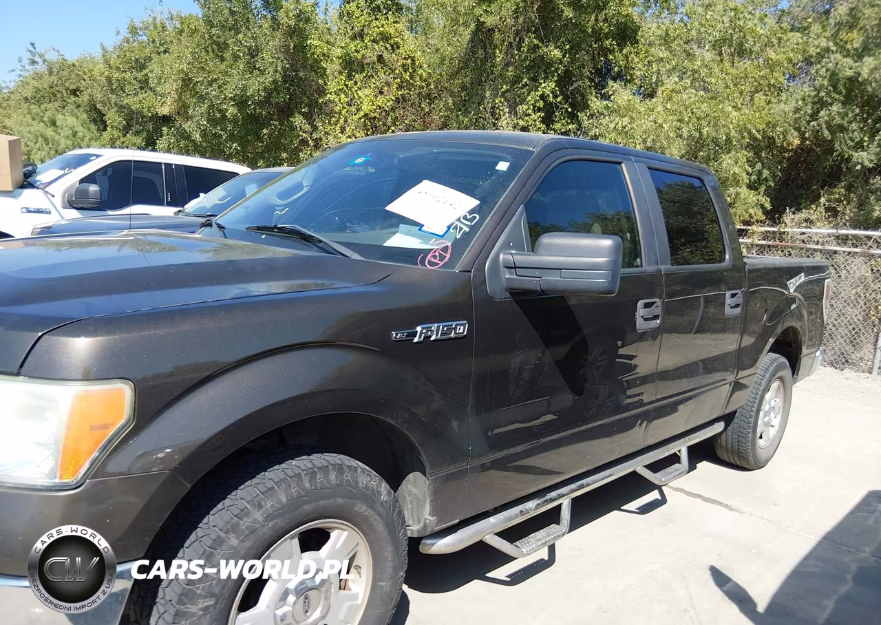 2009 Ford F-150 Xl-Xlt VIN:1FTRW12839FA67796 - 14