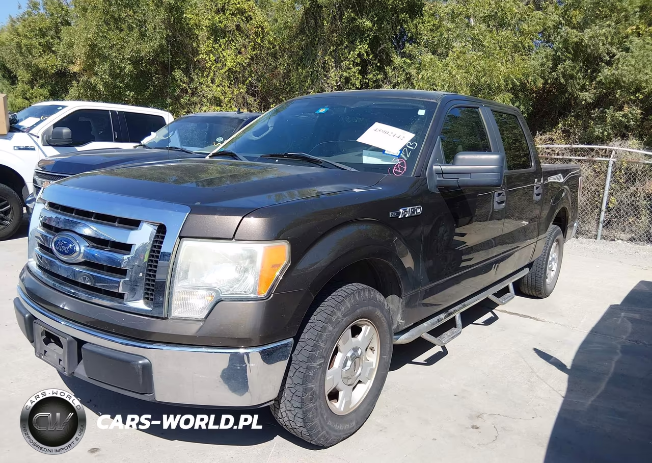 2009 Ford F-150 Xl-Xlt VIN:1FTRW12839FA67796 - 2