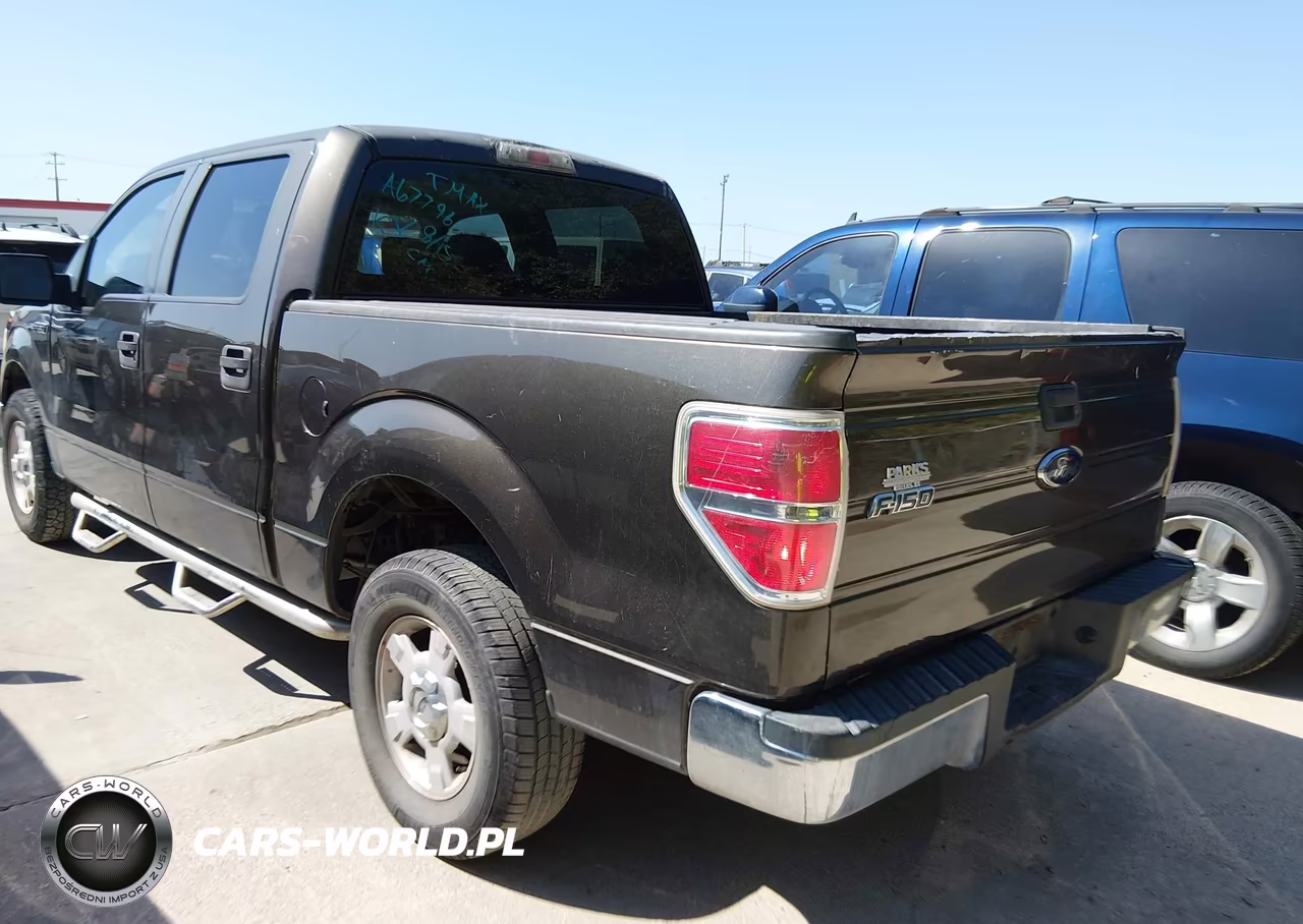 2009 Ford F-150 Xl-Xlt VIN:1FTRW12839FA67796 - 3