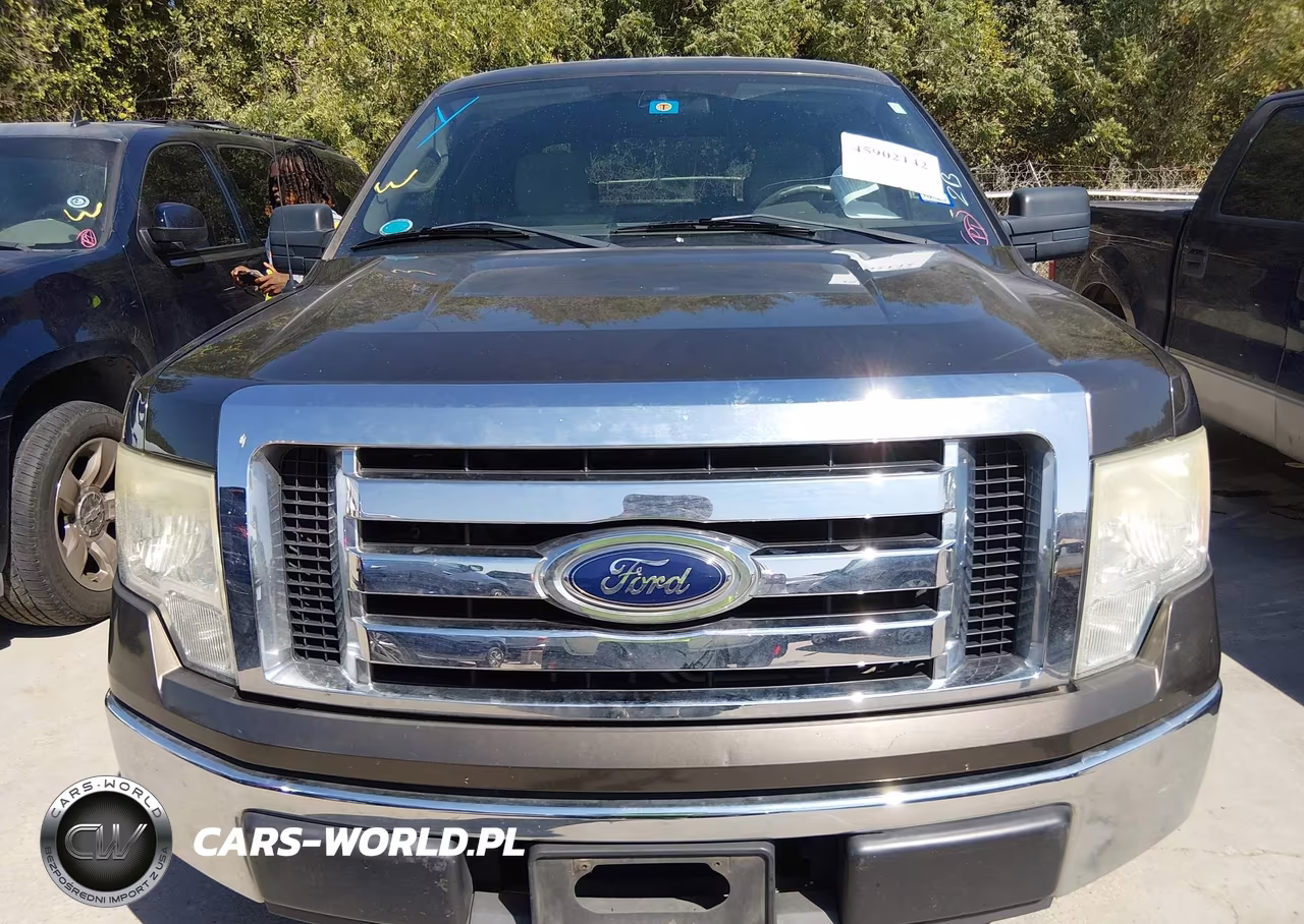 2009 Ford F-150 Xl-Xlt VIN:1FTRW12839FA67796 - 6