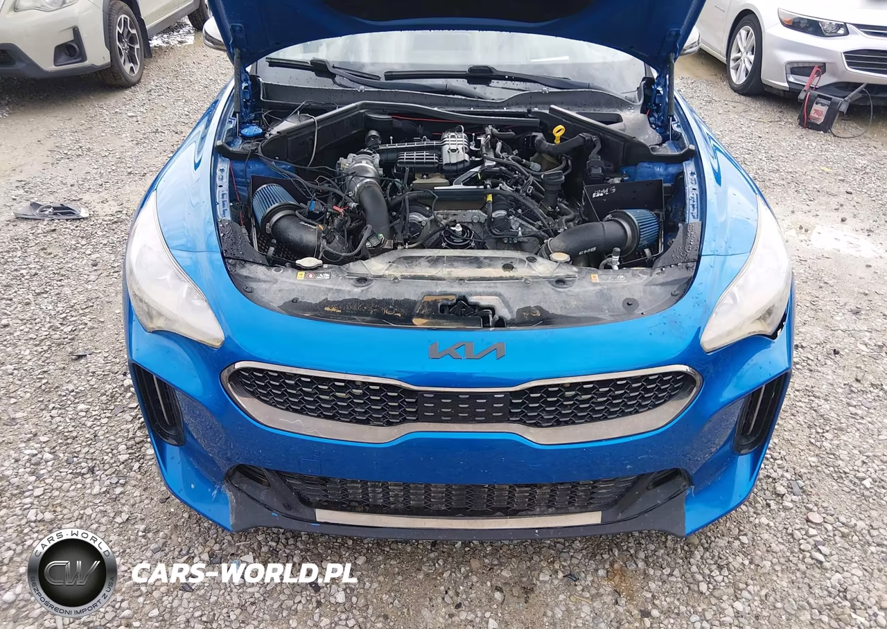 2018 Kia Stinger Gt2 VIN:KNAE55LC2J6016951 - 10