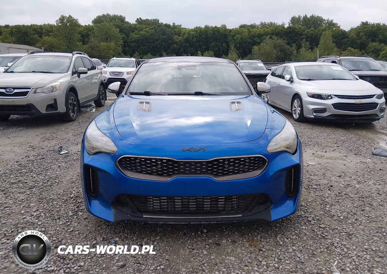 2018 Kia Stinger Gt2 VIN:KNAE55LC2J6016951 - 12