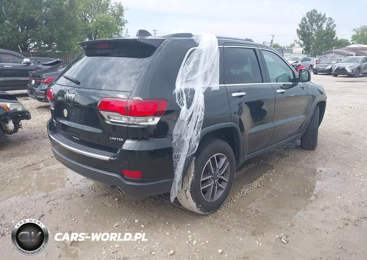 2020 Jeep Grand Cherokee Limited 4X4 VIN:1C4RJFBG8LC194507 - 4