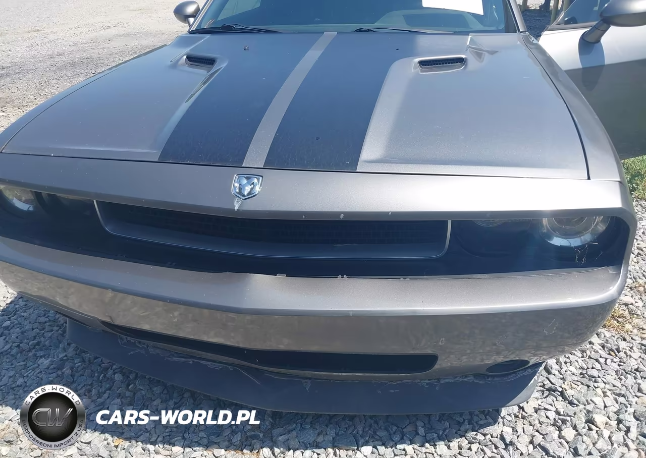2010 Dodge Challenger Se VIN:2B3CJ4DV6AH318615 - 6