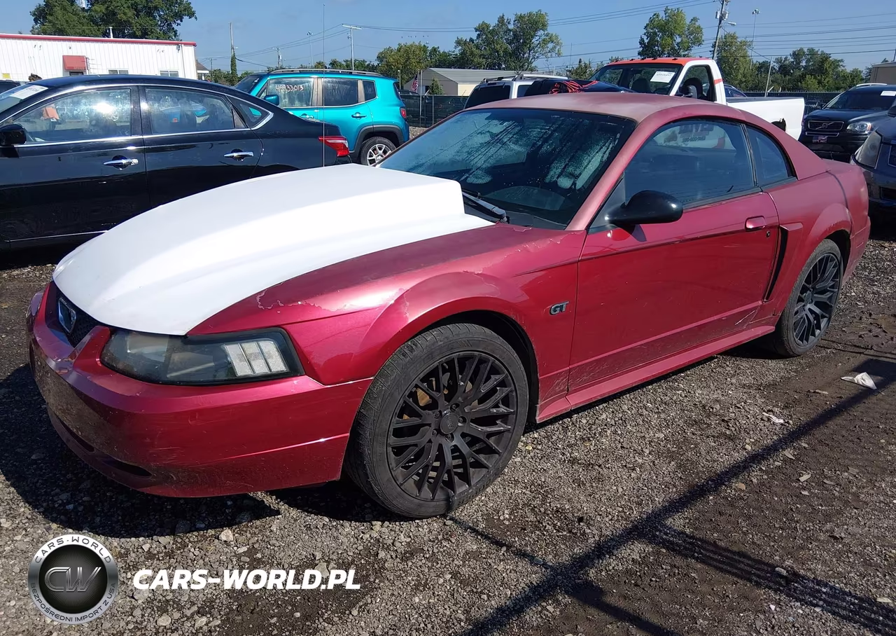 2003 Ford Mustang Gt VIN:1FAFP42X13F374874 - 2