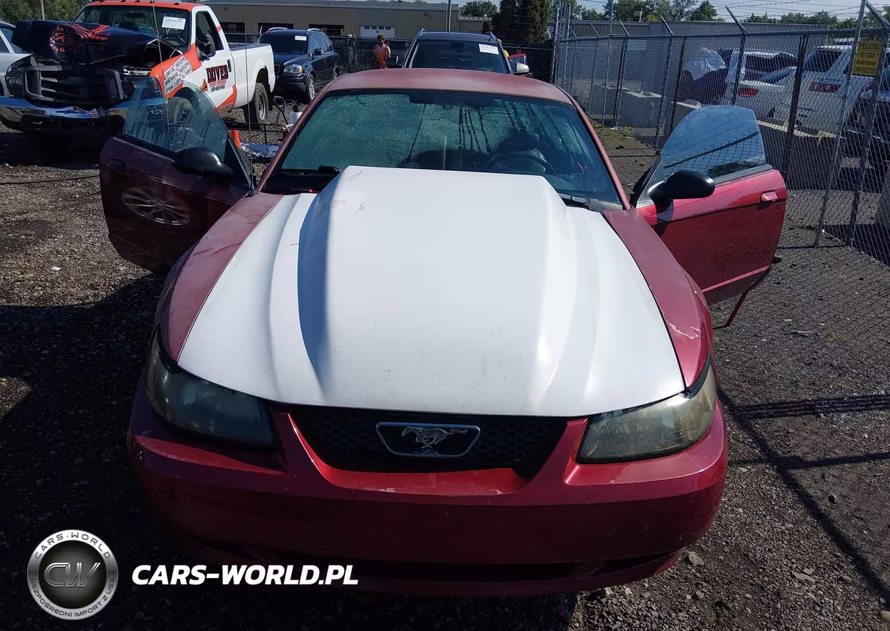 2003 Ford Mustang Gt VIN:1FAFP42X13F374874 - 6