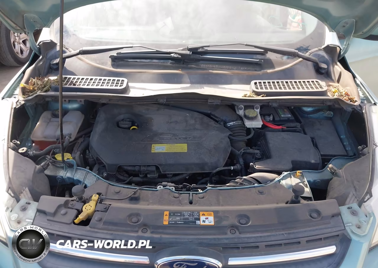 2013 Ford Escape Se VIN:1FMCU0GX0DUD70458 - 10