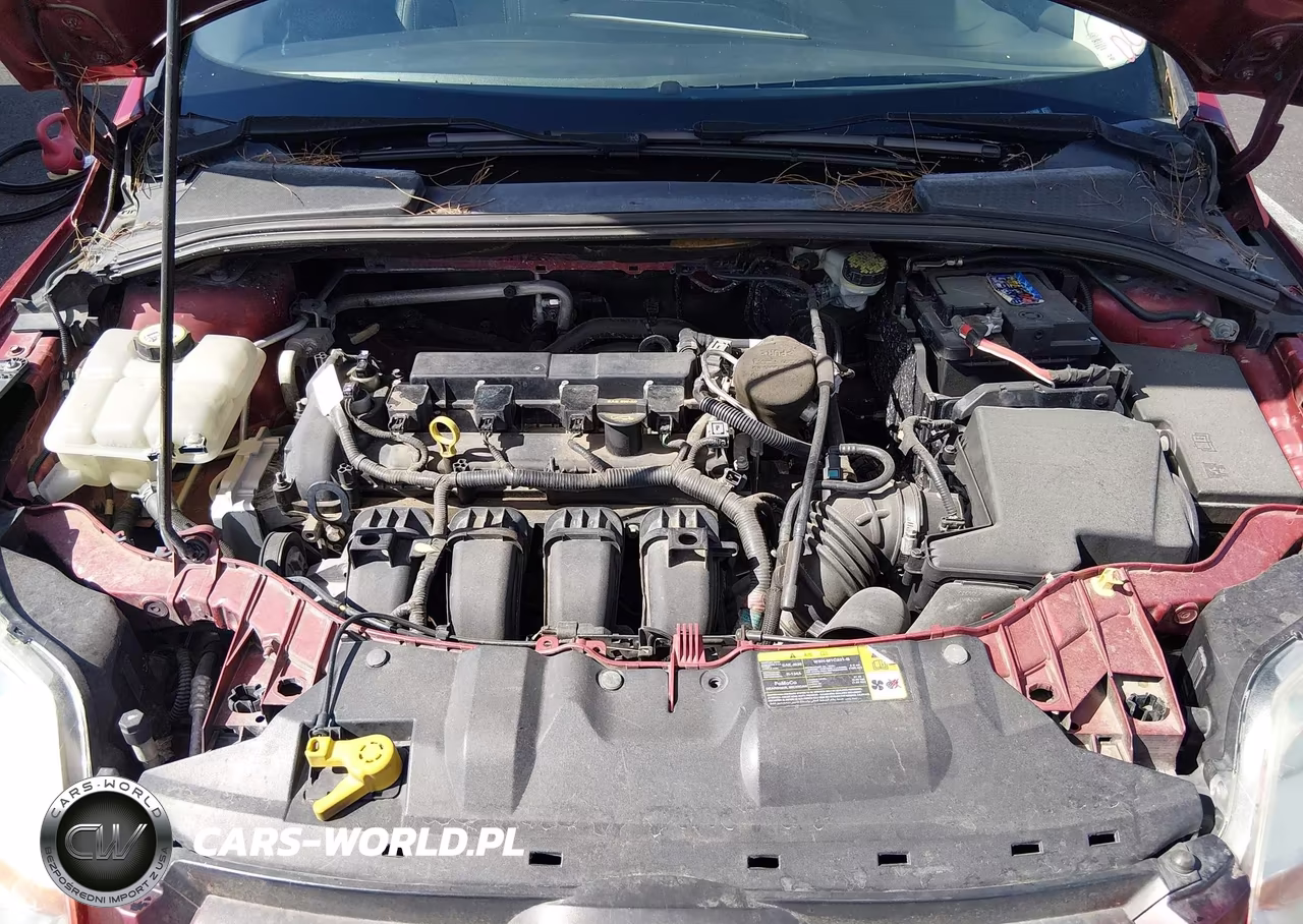 2012 Ford Focus Sel VIN:1FAHP3M26CL451969 - 10