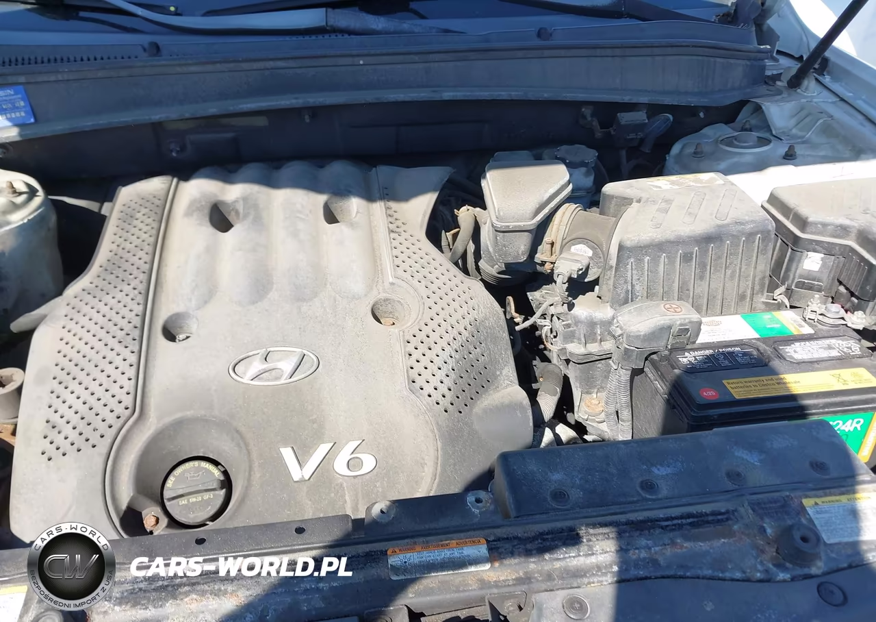 2007 Hyundai Santa Fe Gls VIN:5NMSG13D17H090231 - 10