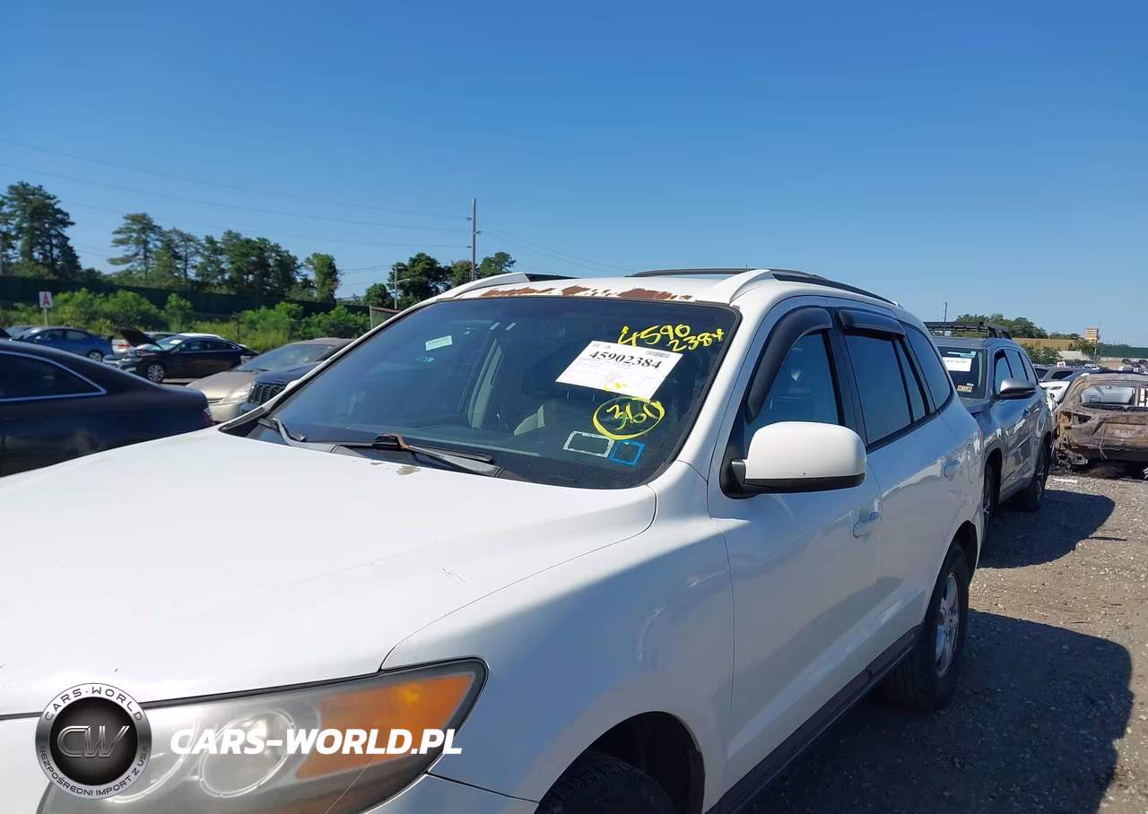 2007 Hyundai Santa Fe Gls VIN:5NMSG13D17H090231 - 6