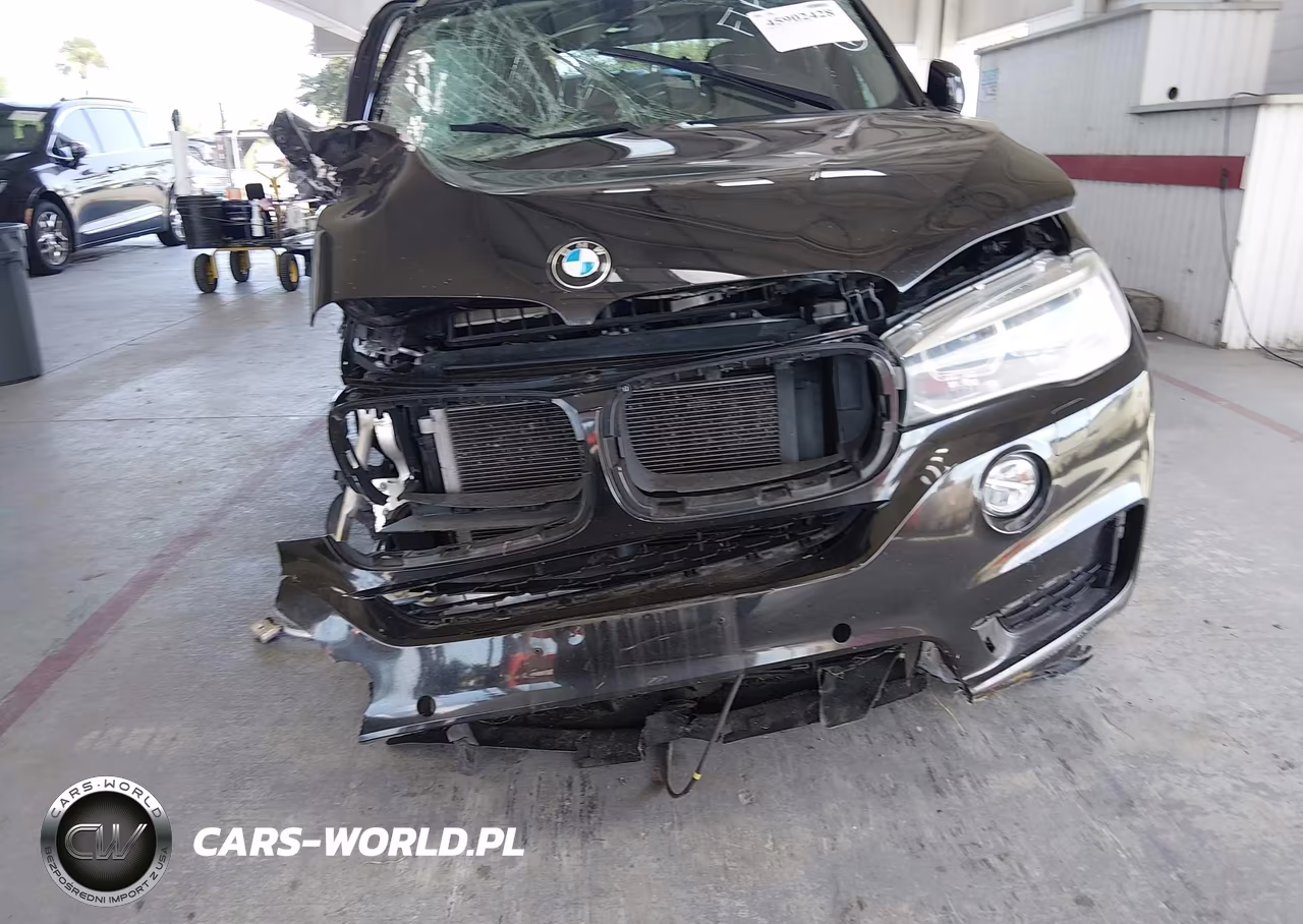 2015 BMW X5 xDrive50I VIN:5UXKR6C52F0J77598 - 19