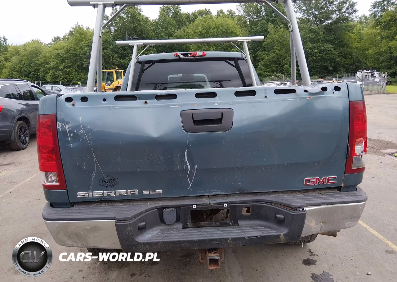 2009 GMC Sierra 1500 Sle VIN:1GTEK29J69Z275324 - 6