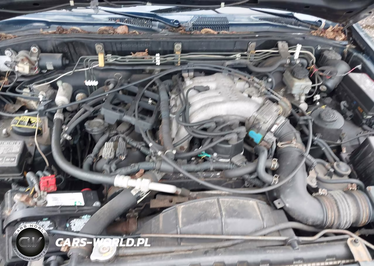 1996 Nissan Pathfinder Le-Se-Xe VIN:JN8AR05YXTW027804 - 10