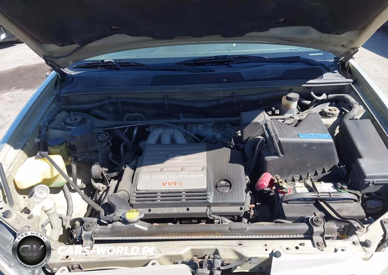 2001 Toyota Highlander V6 VIN:JTEGF21A510003280 - 10