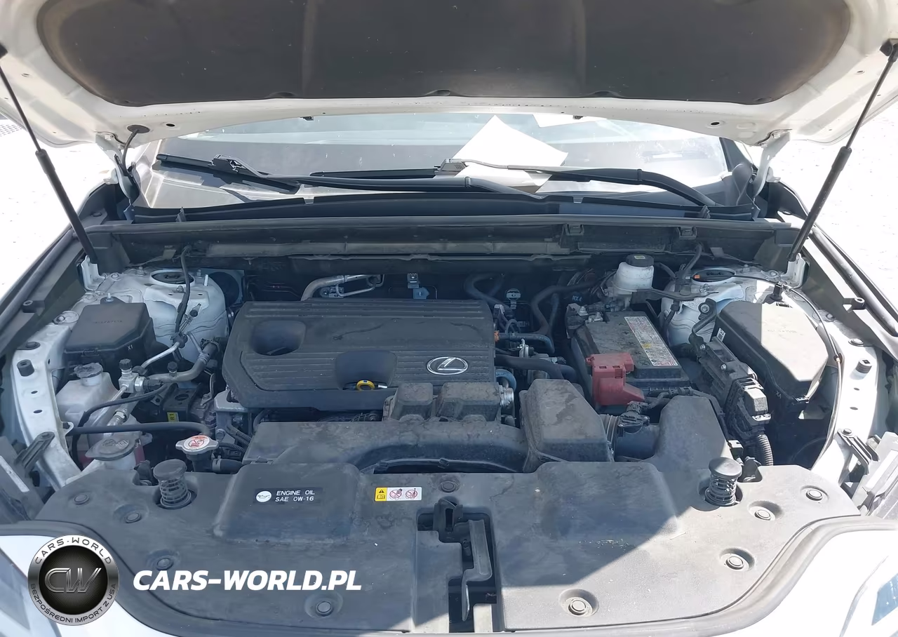 2024 Lexus Nx 250 VIN:JTJADCAZXR5014119 - 10