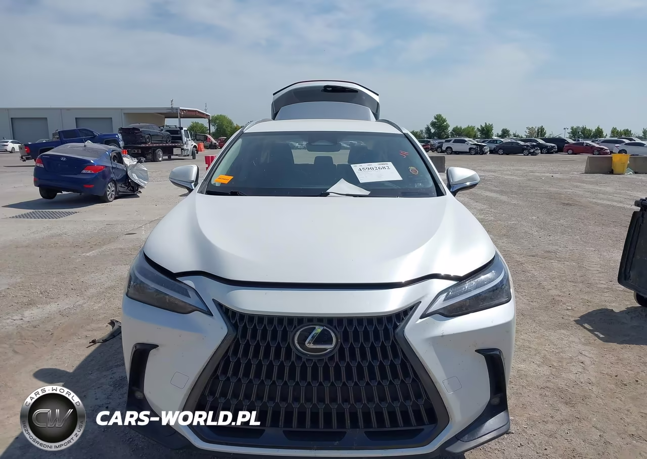 2024 Lexus Nx 250 VIN:JTJADCAZXR5014119 - 12