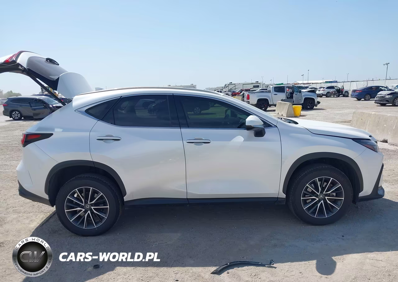 2024 Lexus Nx 250 VIN:JTJADCAZXR5014119 - 13