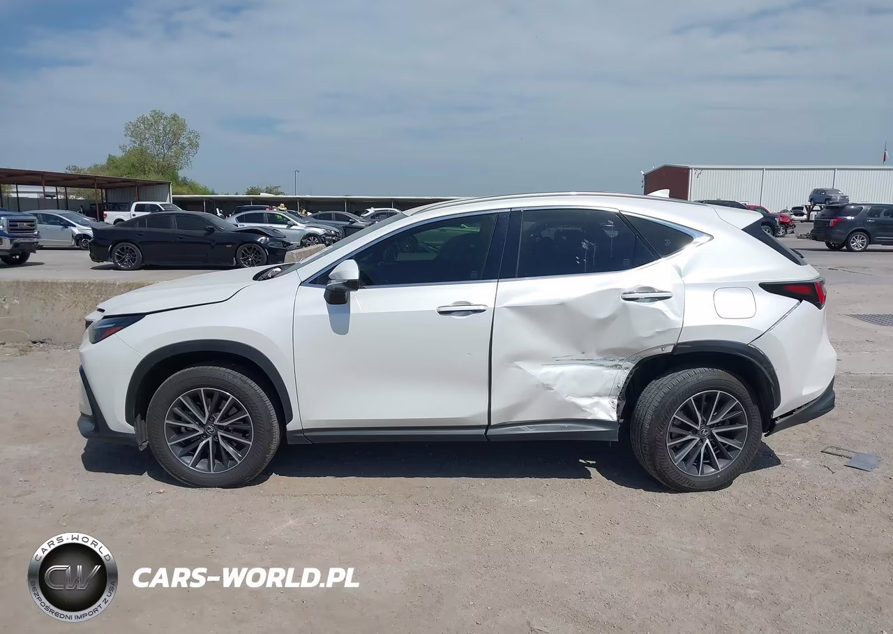 2024 Lexus Nx 250 VIN:JTJADCAZXR5014119 - 14