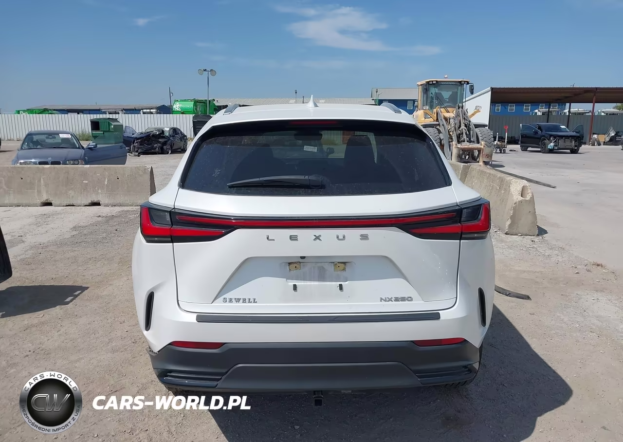 2024 Lexus Nx 250 VIN:JTJADCAZXR5014119 - 16