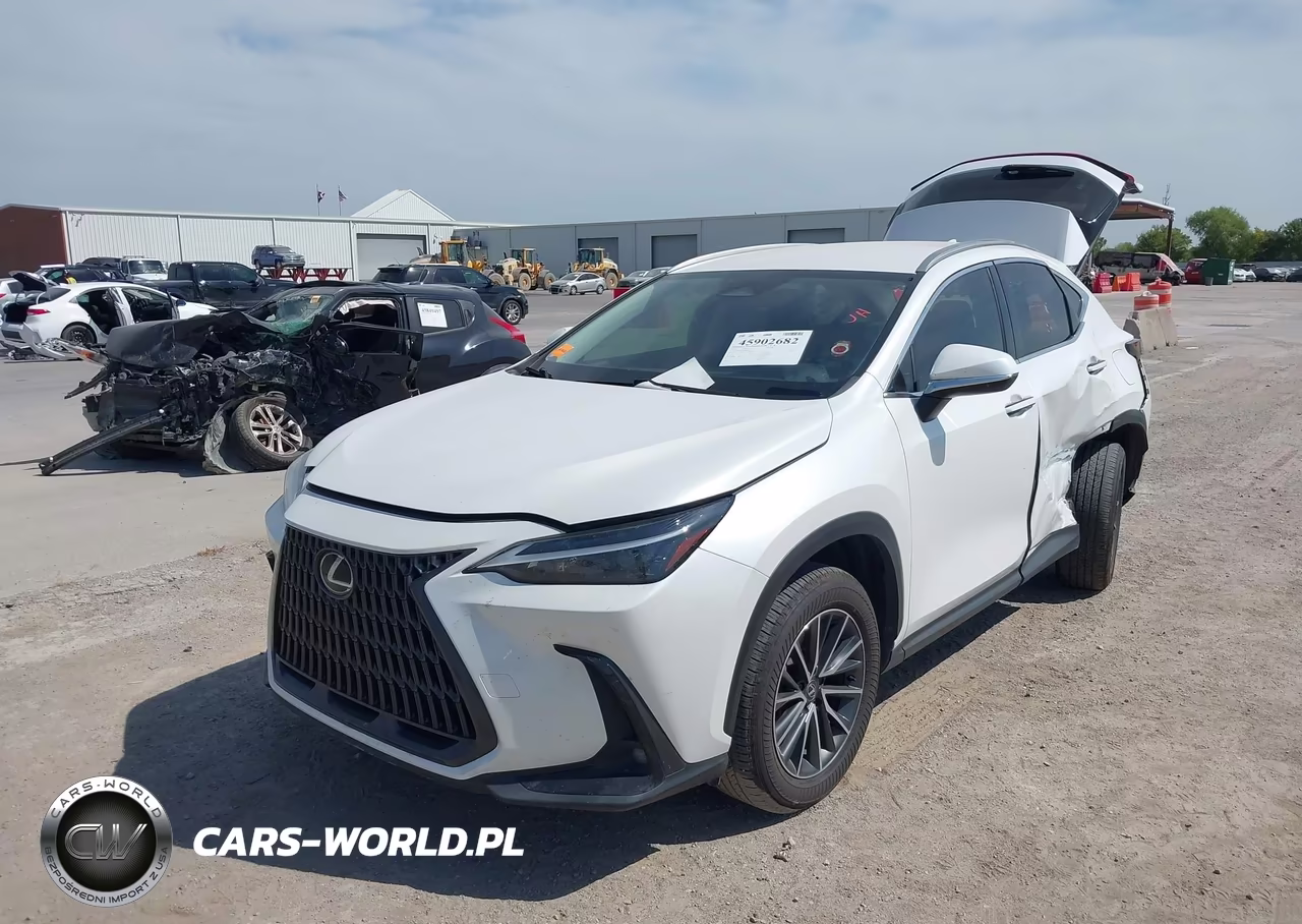 2024 Lexus Nx 250 VIN:JTJADCAZXR5014119 - 2