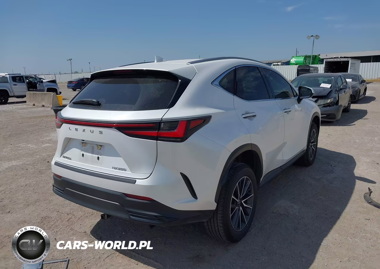 2024 Lexus Nx 250 VIN:JTJADCAZXR5014119 - 4