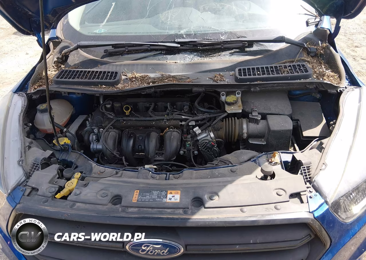 2019 Ford Escape S VIN:1FMCU0F76KUA30827 - 10