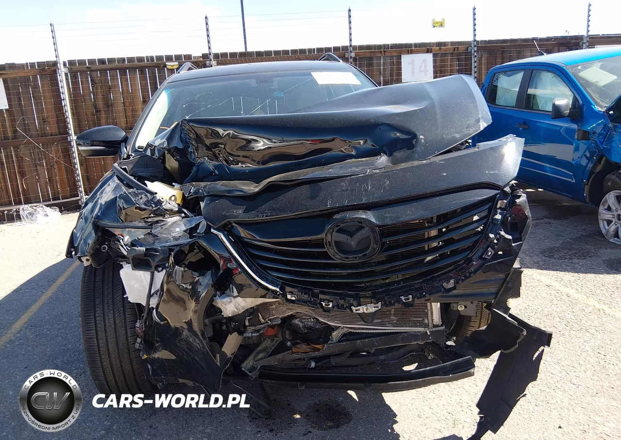 2013 Mazda Cx-9 Grand Touring VIN:JM3TB3DA3D0423017 - 13