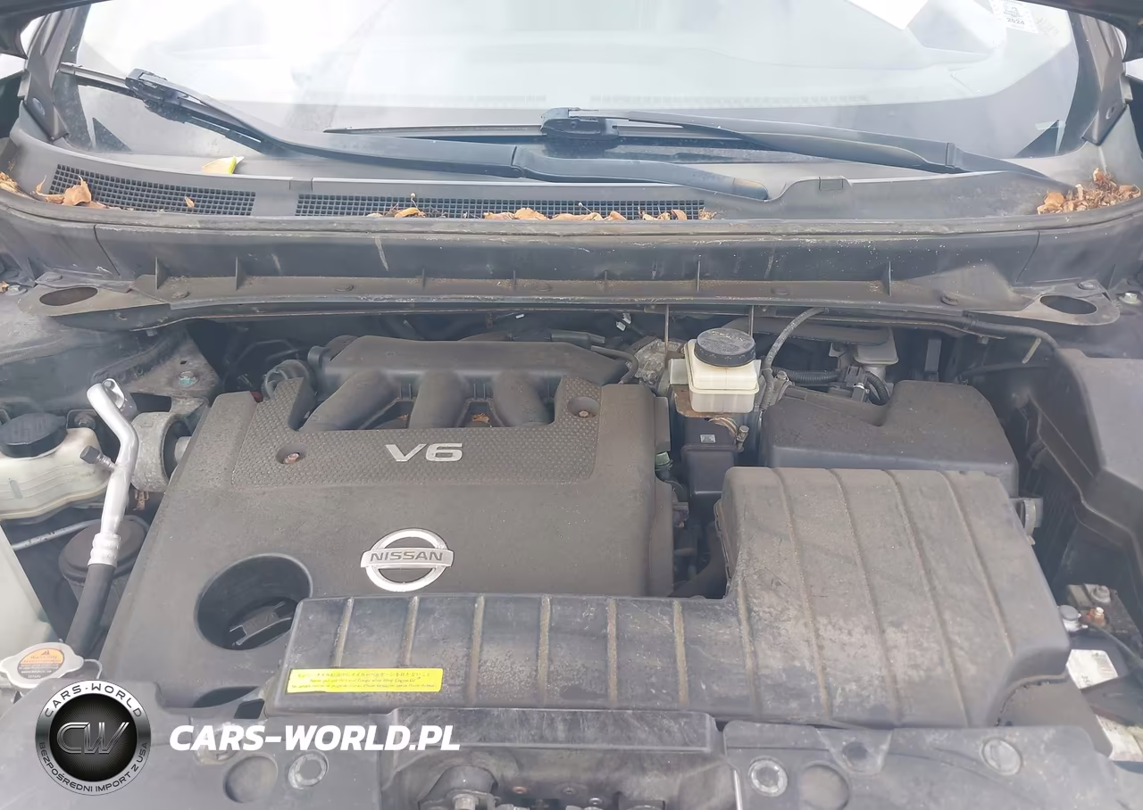 2014 Nissan Murano Crosscabriolet VIN:JN8AZ1FY2EW301617 - 10