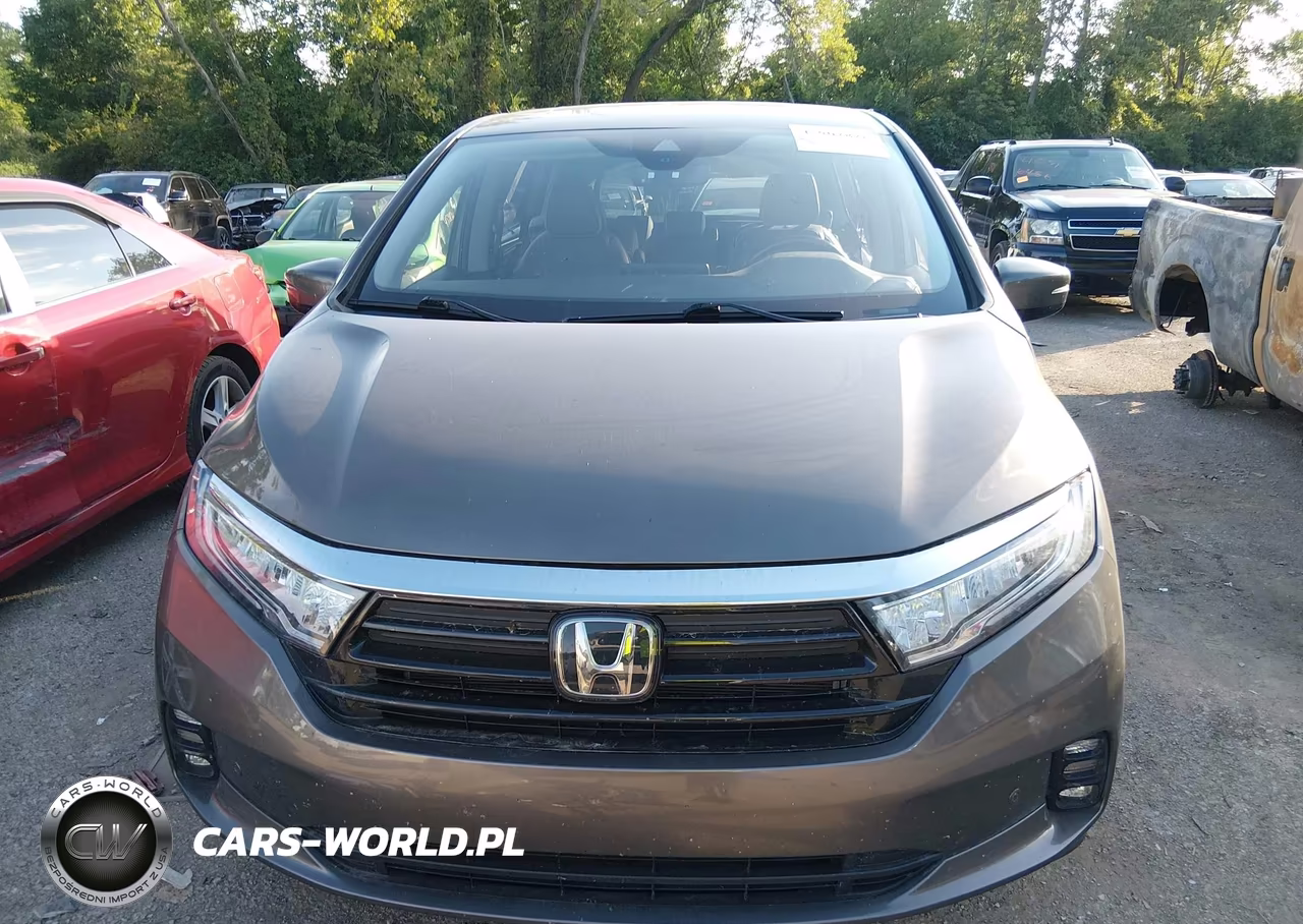 2022 Honda Odyssey Elite VIN:5FNRL6H91NB014230 - 12