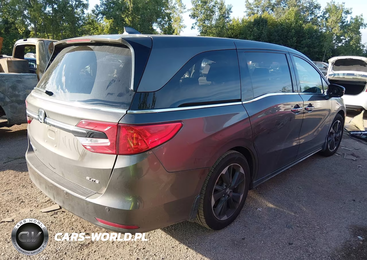2022 Honda Odyssey Elite VIN:5FNRL6H91NB014230 - 4