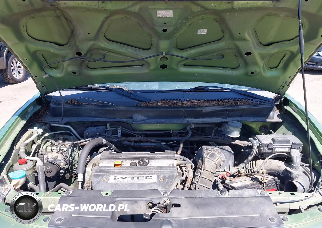 2008 Honda Element Ex VIN:5J6YH28768L010044 - 10