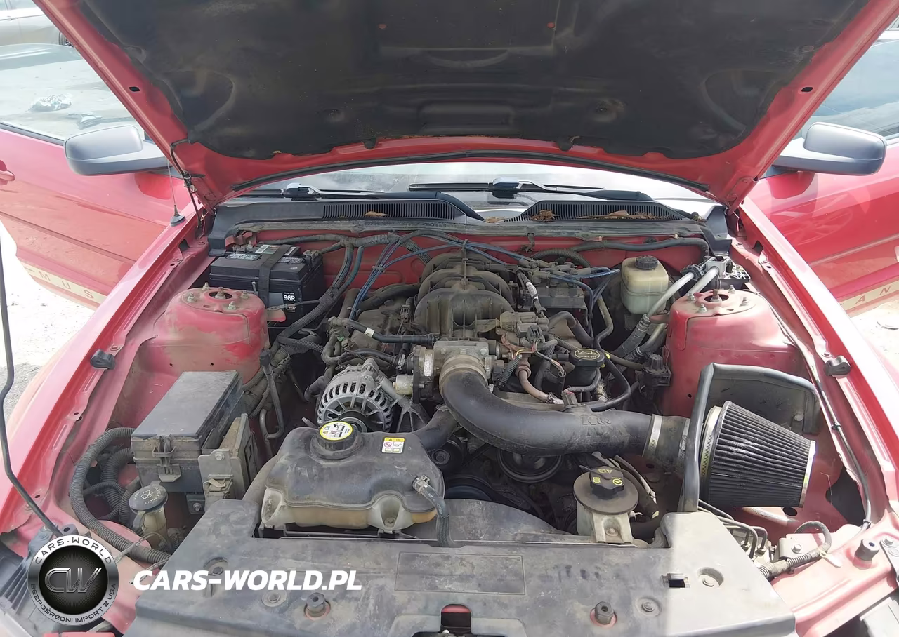 2008 Ford Mustang V6 Deluxe VIN:1ZVHT84NX85134721 - 10