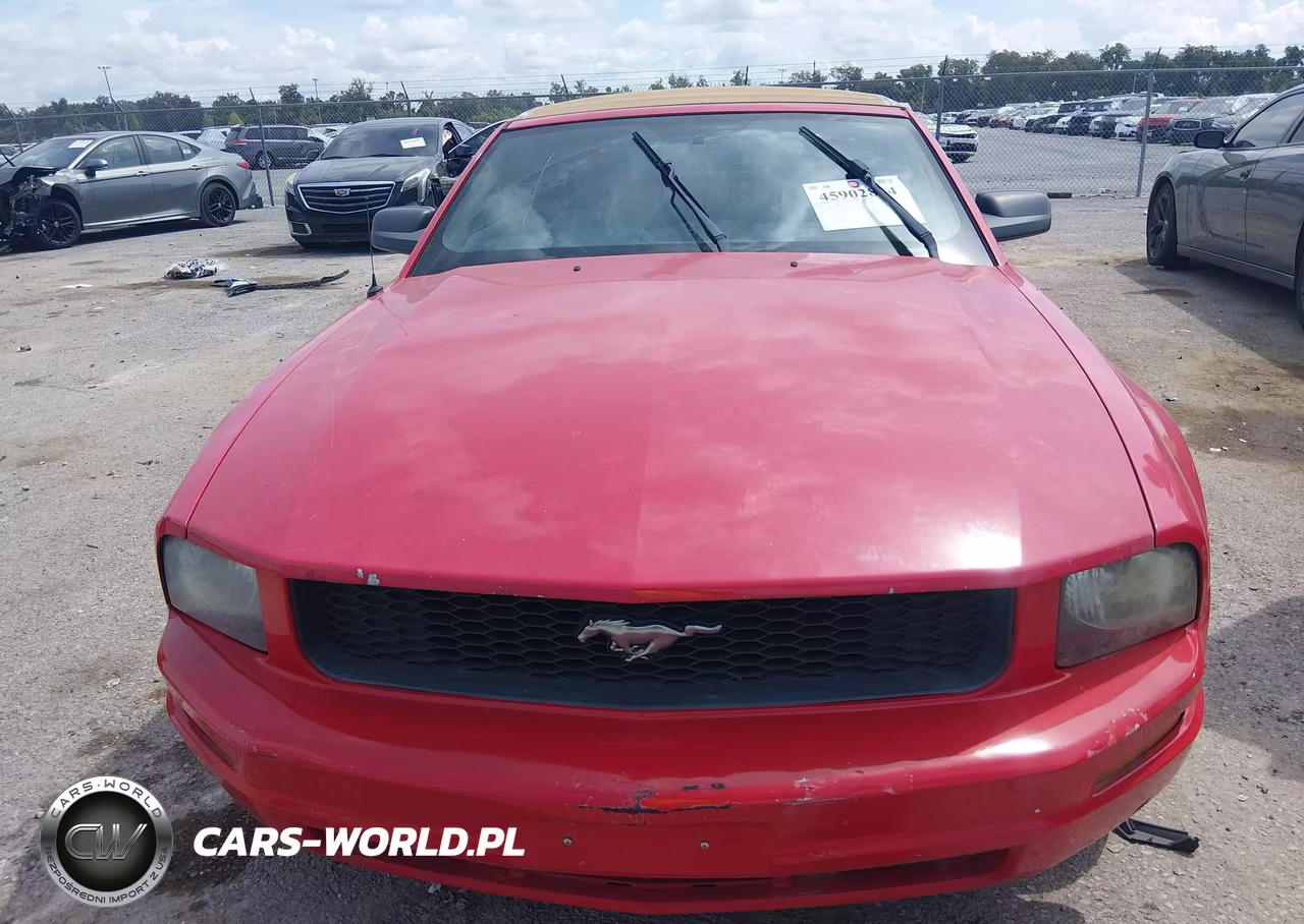2008 Ford Mustang V6 Deluxe VIN:1ZVHT84NX85134721 - 6